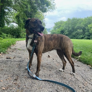 Fundraising Page: Guinness PAC Alum